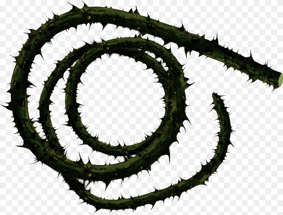 The Corpse Carrier Wields Creeping Death A 10ft Long Thorn Vine, Plant, Spiral, Coil Free Png