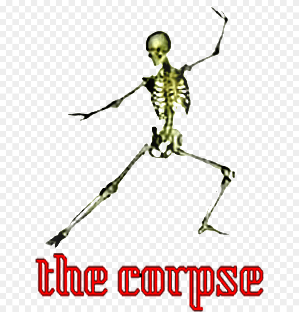 The Corpse Skeleton, Person, Face, Head Free Png