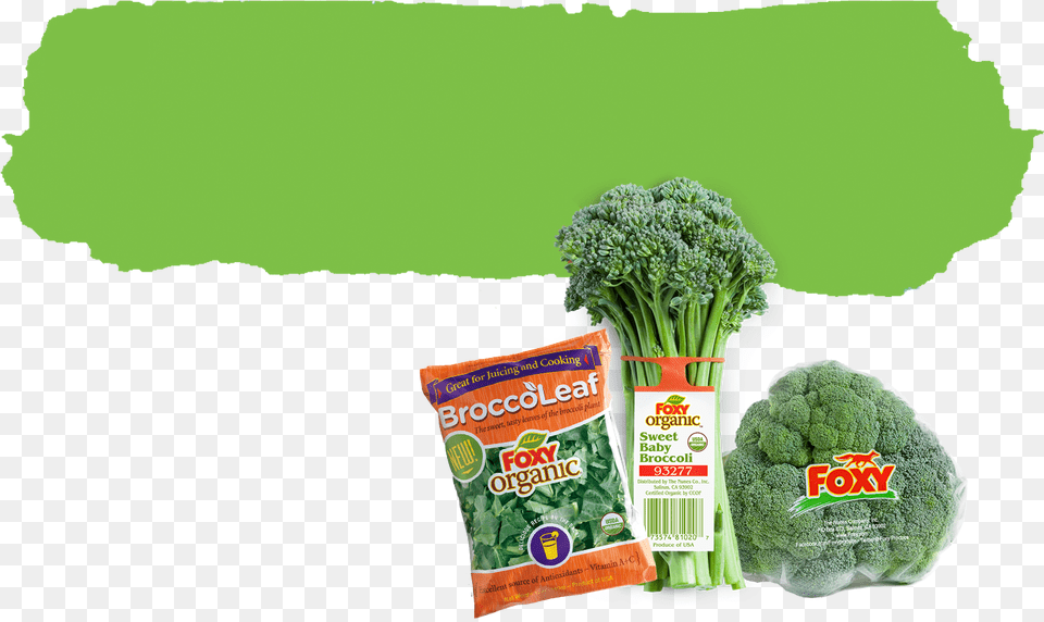 The Count Down Is Over But The Celebration Of Broccoli Foxy Organic Broccoli, Food, Plant, Produce, Vegetable Png Image