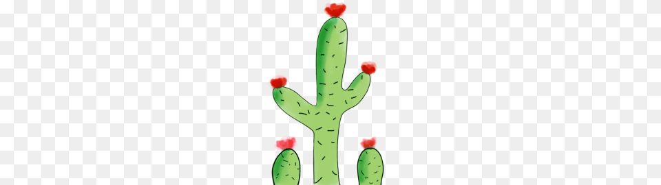 The Crafty Cactus, Plant Png