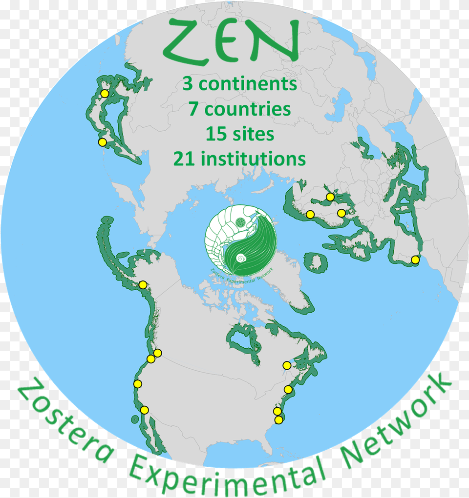 The Cross Site Zen Experiment From 2011 Is In Press, Chart, Plot, Disk, Map Free Transparent Png