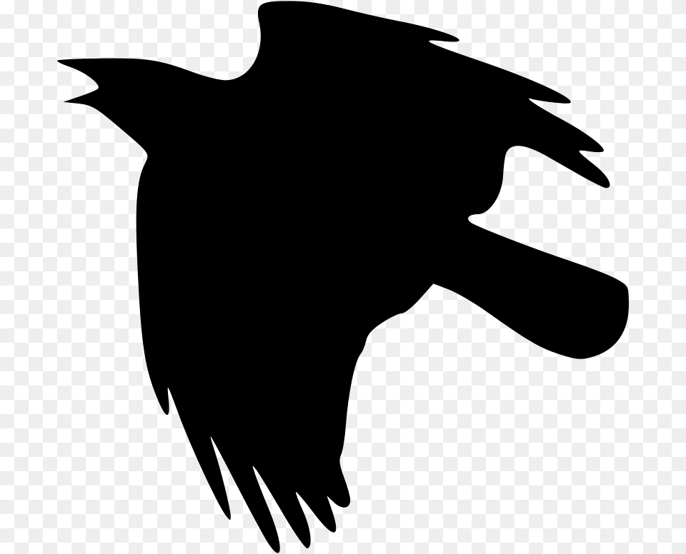 The Crow Flies Vector, Gray Free Png
