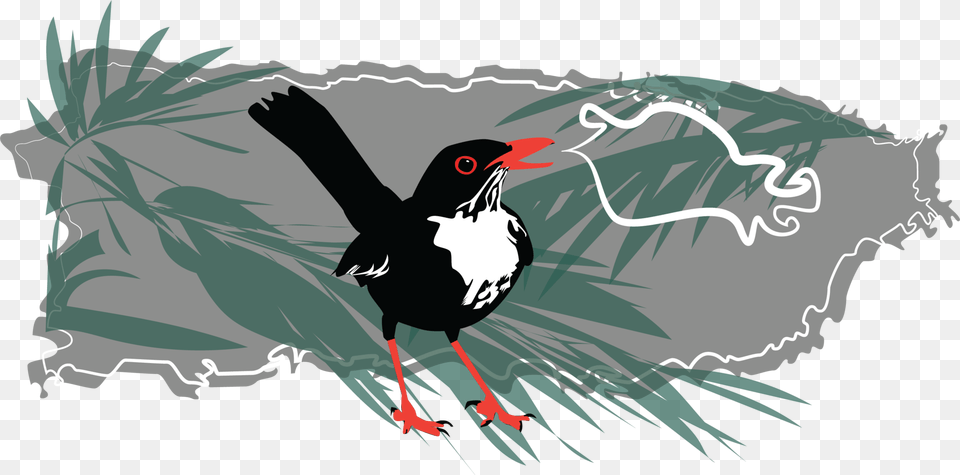 The Cuban Writer And Revolutionary Jos Mart Coined Oystercatcher, Animal, Beak, Bird, Blackbird Free Transparent Png