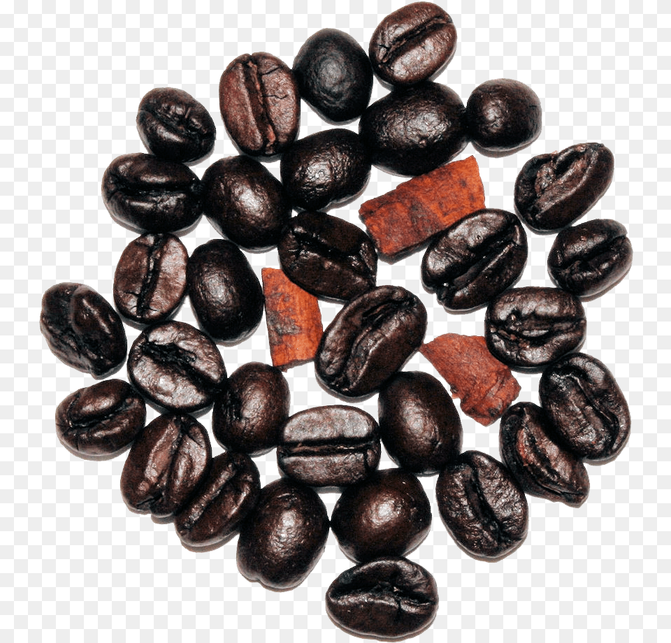 The Cultured Cup Cocoa Bean, Beverage, Coffee, Coffee Beans Png Image