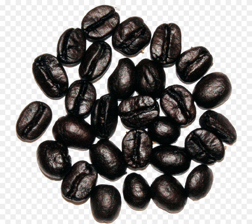 The Cultured Cup Pulse, Plant, Beverage, Coffee, Coffee Beans Png Image