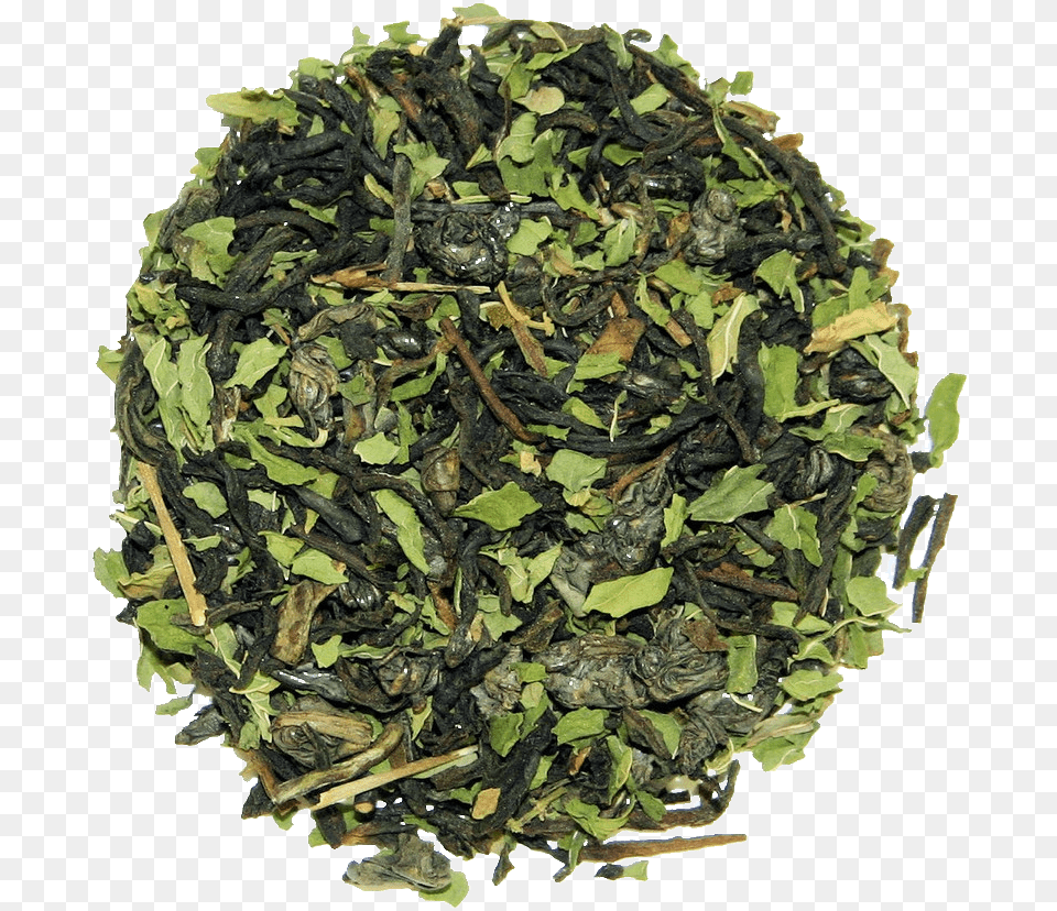 The Cultured Cup Tung Ting Tea, Plant, Beverage, Green Tea Free Transparent Png