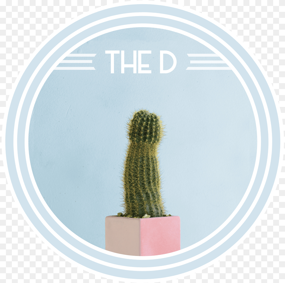 The D Circle, Plant, Cactus Free Png Download