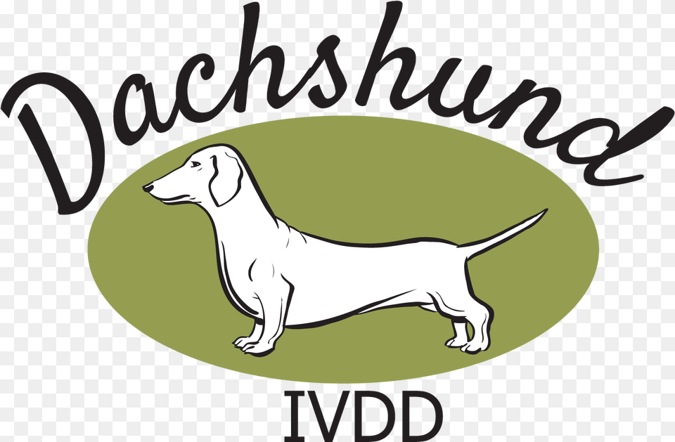 The Dachshund Breed Council Uk Longdog, Animal, Canine, Dog, Mammal Free Png Download