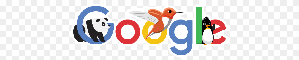 The Daily Seo Commandments, Animal, Bird, Penguin Png Image