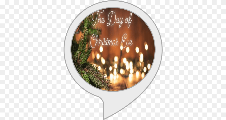 The Day Of Christmas Eve Christmas Lights, Plant, Tree, Christmas Decorations, Festival Png