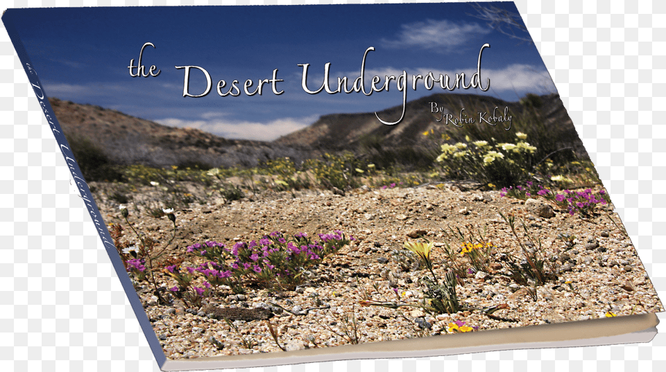 The Desert Underground Chaparral, Gravel, Road, Soil, Wilderness Png