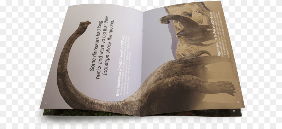 The Dinosaur Big Book Vellum, Animal, Cat, Mammal, Pet Free Png Download