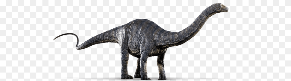The Dinosaurs Of Jurassic World Fallen Kingdom, Animal, Dinosaur, Reptile, T-rex Free Png Download