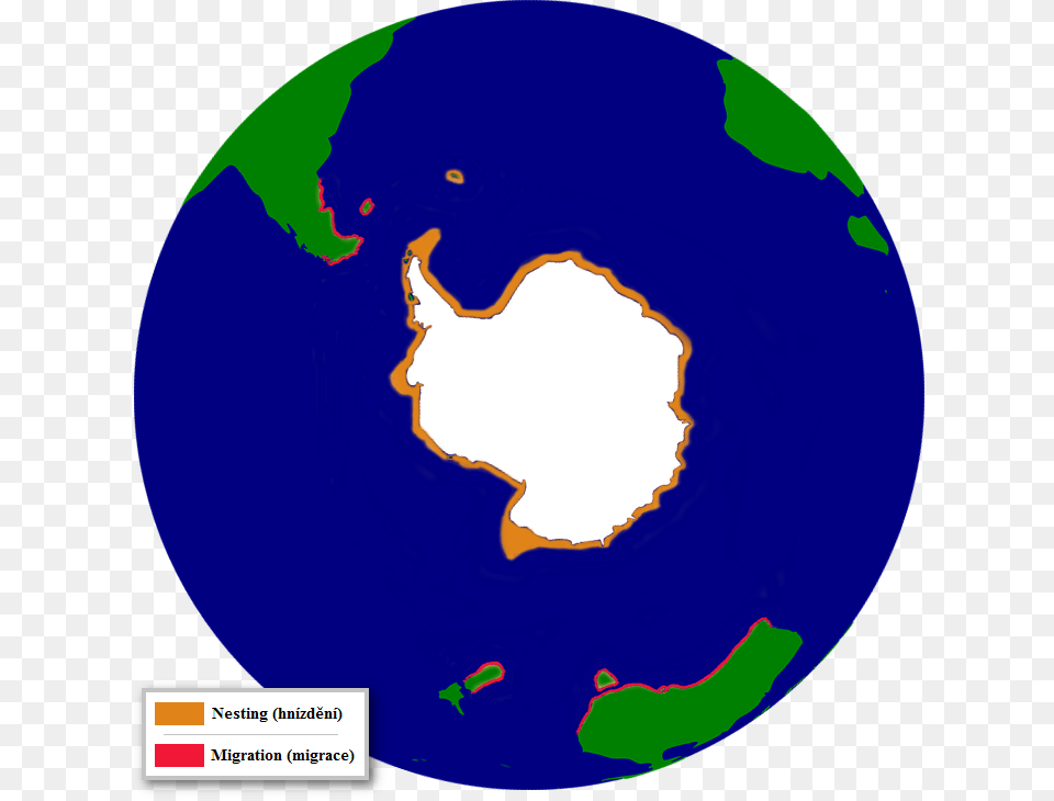 The Distribution Of The Adelie Penguin Adelie Penguin Migration Map, Astronomy, Globe, Outer Space, Planet Free Png