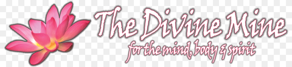 The Divine Mine Logo Logo, Flower, Petal, Plant Free Transparent Png