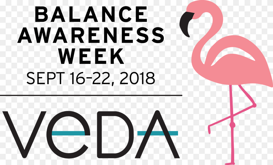 The Dizzy Cook Finds A Life Rebalanced Balance Awareness Week 2018, Animal, Bird, Flamingo, Adult Png Image