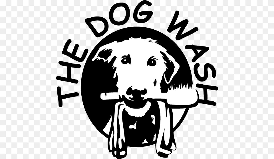 The Dog Wash Illustration, Stencil, Baby, Person, Face Free Transparent Png
