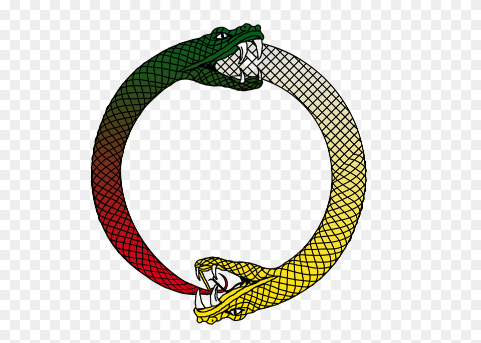 The Double Ouroboros Of Polictical Dialogue Jordanpeterson, Accessories, Bracelet, Jewelry Png