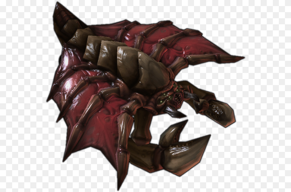 The Drone Is The Basic Worker Of The Zerg Broods Zerg Drone, Dragon, Baby, Person, Accessories Free Png Download