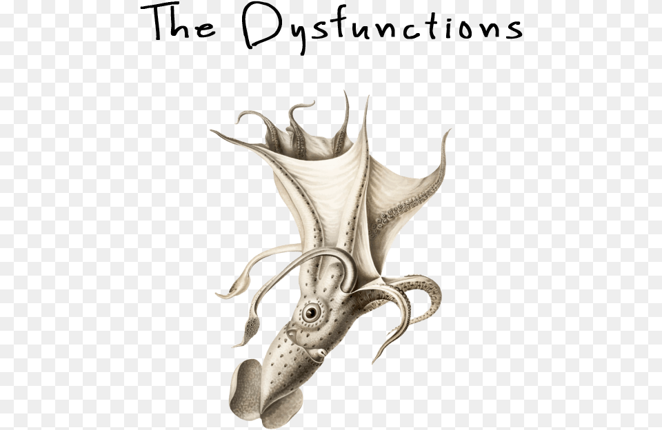 The Dysfunctions Vintage Squid Illustration, Animal, Sea Life, Food, Seafood Free Png Download