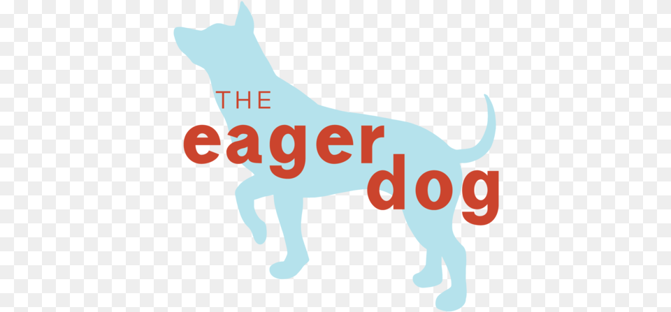 The Eager Dog Dog Catches Something, Animal, Canine, Mammal, Pet Png Image