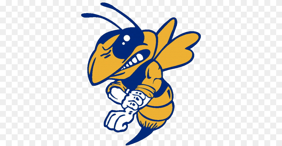 The East Canton Hornets, Animal, Bee, Honey Bee, Insect Free Png