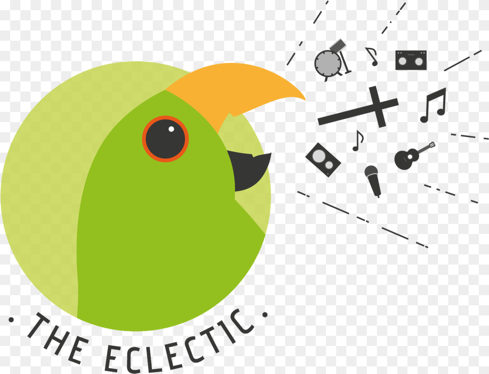 The Eclectic Old World Flycatcher, Animal, Beak, Bird Png Image