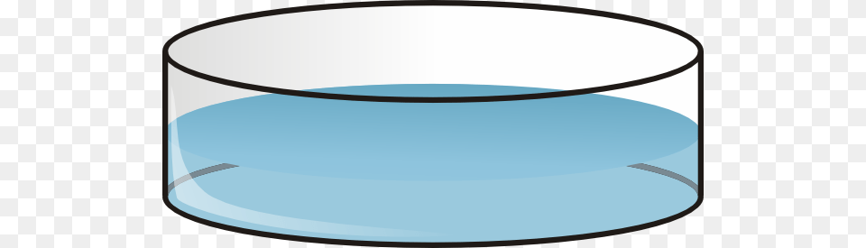 The Editing Of Petri Dishes Download Vector, Cylinder, Glass, Jar, Hot Tub Free Png
