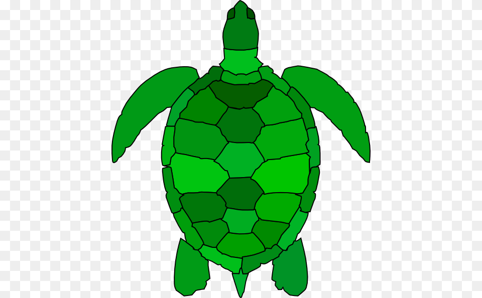 The Editing Of Sea Turtles Vector, Animal, Reptile, Sea Life, Sea Turtle Free Png Download