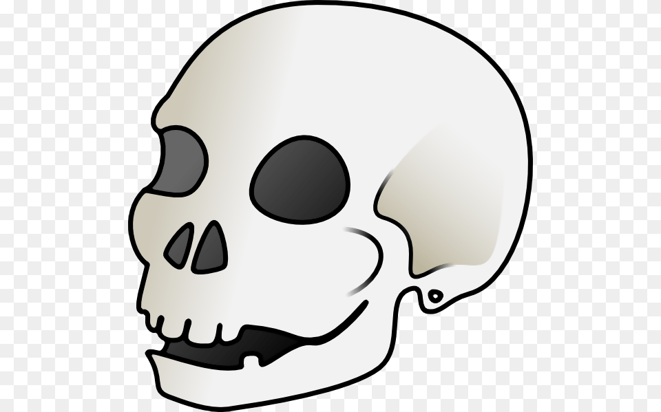 The Editing Of The Human Skull Spooky Intensifies, Helmet, Clothing, Hardhat, Stencil Png Image