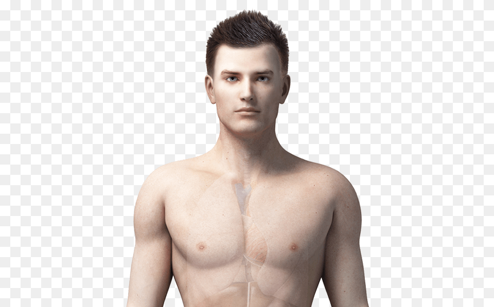 The Effects Of Sugar On The Body Benenden, Adult, Portrait, Photography, Person Free Transparent Png