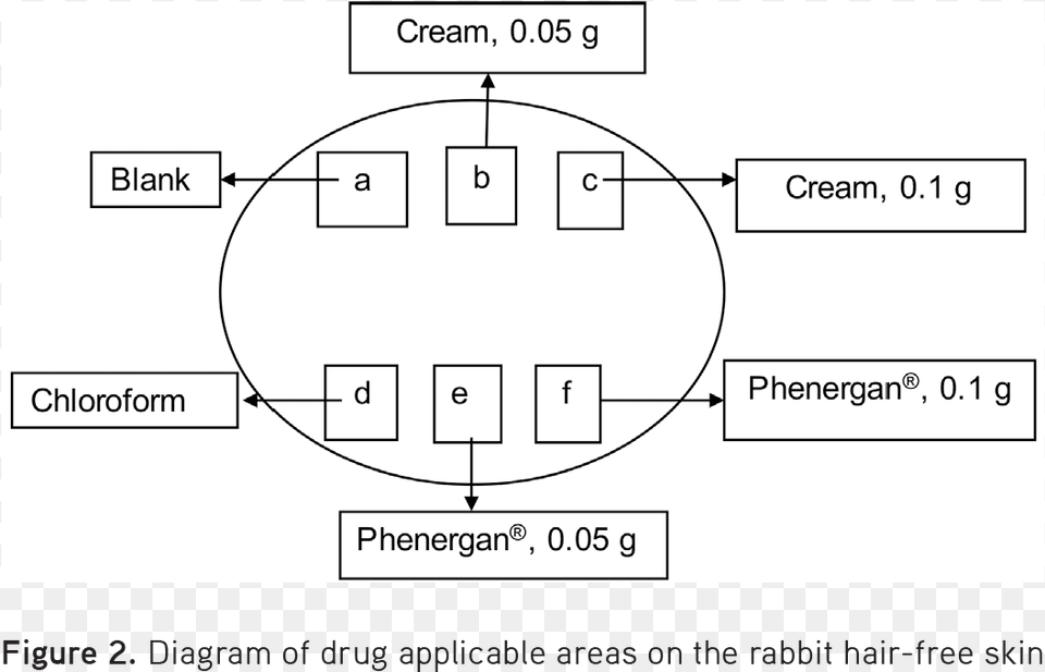 The Efficacy Test Ran For One Hour And The Time Until Diagram Png