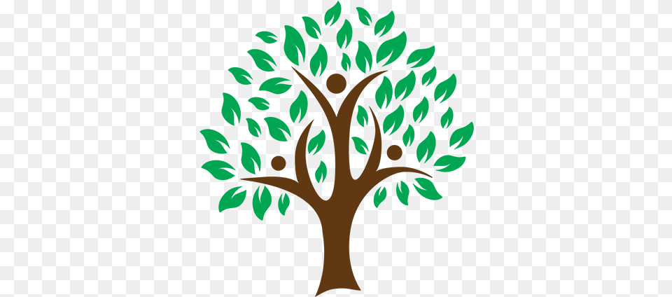 The Electra Olive Tree Project Canvas Family Tree Paintings, Pattern, Art, Plant, Leaf Free Png Download