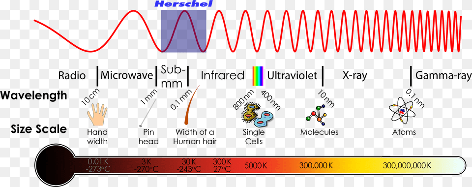 The Electromagnetic Spectrum Diagram Free Transparent Png