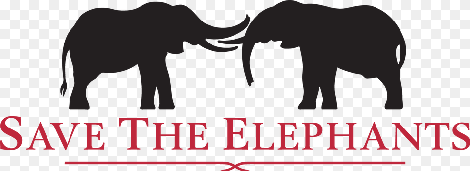 The Elephant Crisis Fund Is A Joint Initiative Of Save Save The Elephants Logo, Animal, Mammal, Wildlife, Bear Free Transparent Png