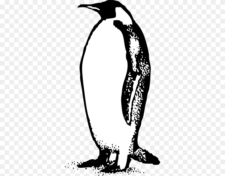 The Emperor Penguin Black And White Drawing, Animal, Bird, Adult, Wedding Free Png
