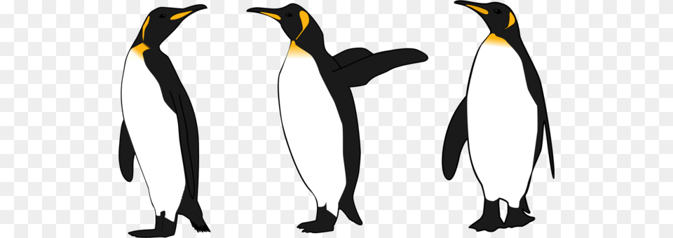 The Emperor Penguins Bird, Animal, King Penguin, Penguin Free Png Download