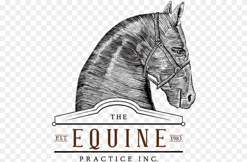 The Equine Practice Inc Horse, Animal, Mammal, Art Free Transparent Png