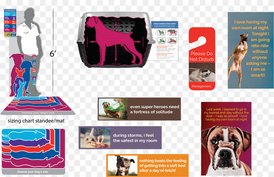 The Exercise Was Such A Success That Petsmart Asked Boxer, Advertisement, Poster, Person, Animal Png Image