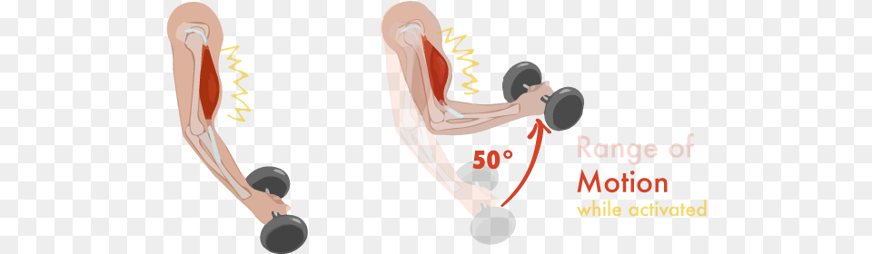 The Exerstats Also Show How Much A Muscle Moves While Training, Smoke Pipe Png