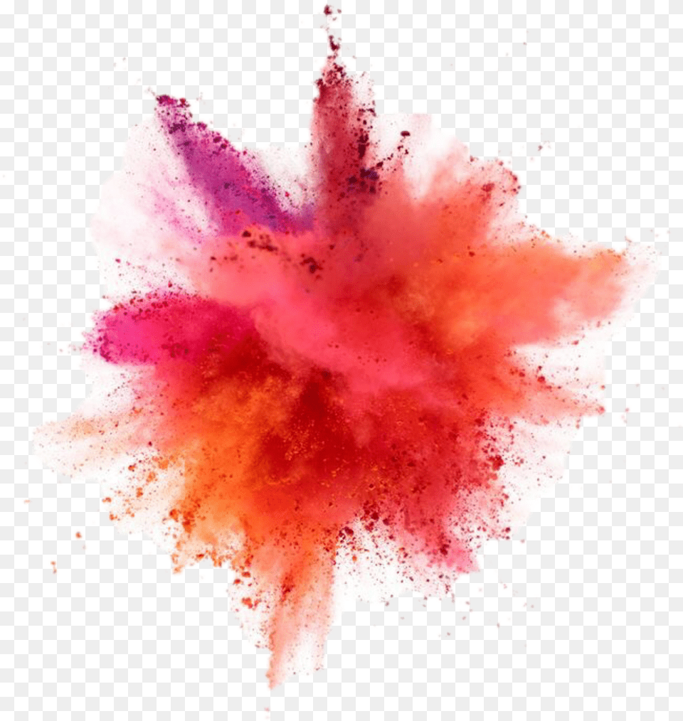 The Explosion Of Color Paint Powder Explosion, Flower, Petal, Plant, Stain Free Png