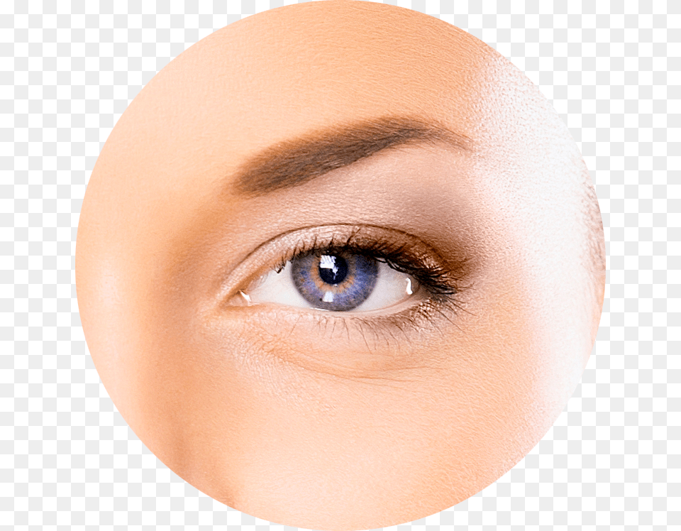 The External Eye Diagram Eye, Baby, Person, Contact Lens, Face Png Image
