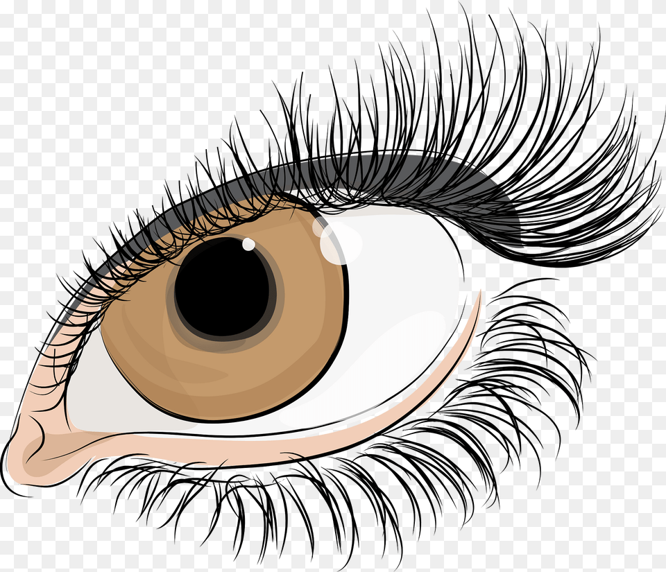 The Eye Of Women Clipart, Art, Adult, Female, Person Free Transparent Png