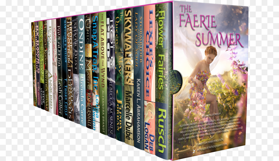 The Faerie Summer Bundle Book Cover, Publication, Person, Indoors, Library Png Image