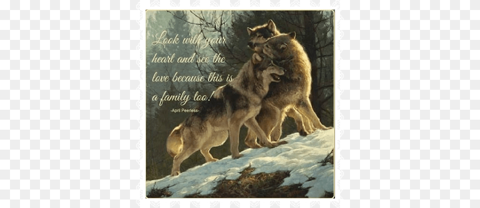 The Family Greg Beecham, Animal, Mammal, Wolf, Canine Png