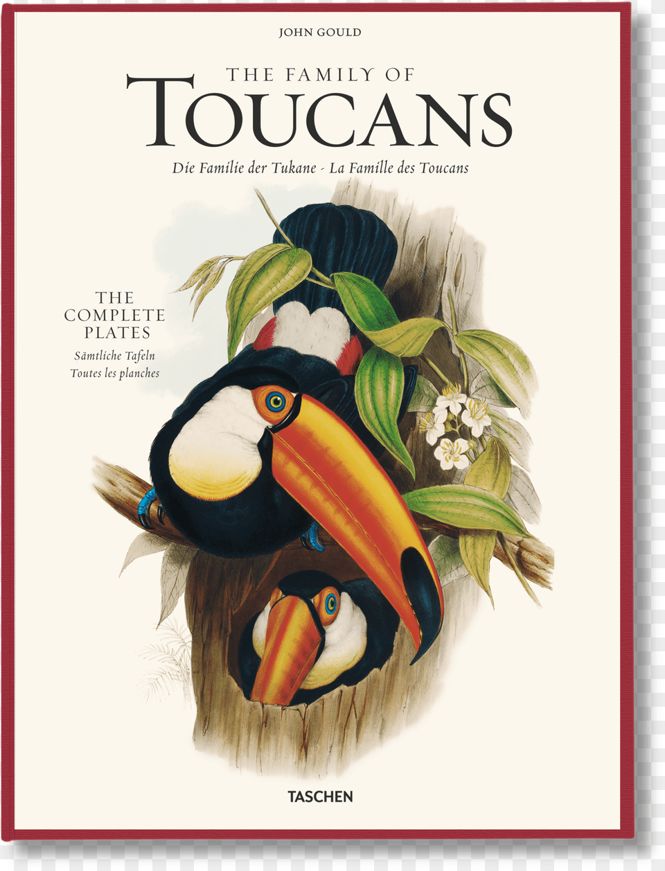 The Family Of Toucans Toucan John Gould, Animal, Beak, Bird, Advertisement Png