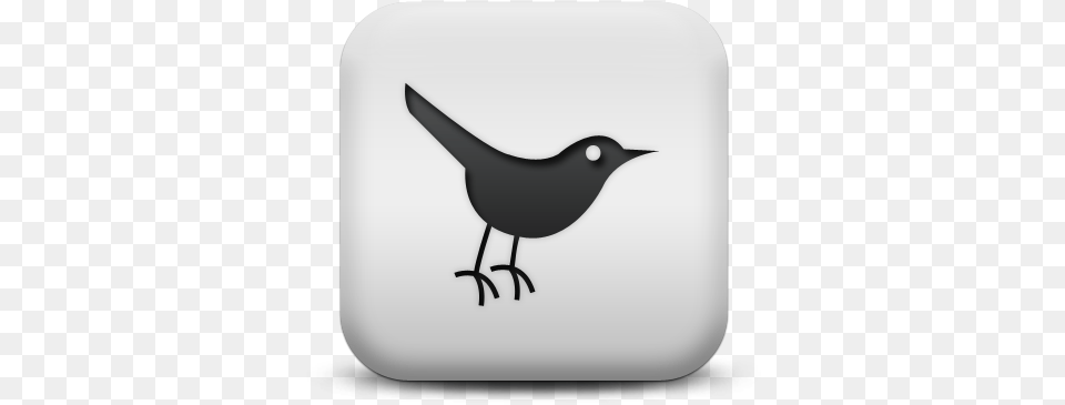 The Farmers Market Tortured Orchardtortured Orchard Bird Icon Black, Animal, Blackbird, Appliance, Blow Dryer Free Transparent Png