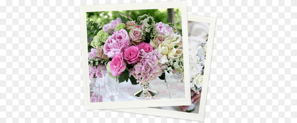 The Favorite Of Many A Broadway Star Since 1989 Seasons Garden Roses, Art, Floral Design, Flower, Flower Arrangement Png Image