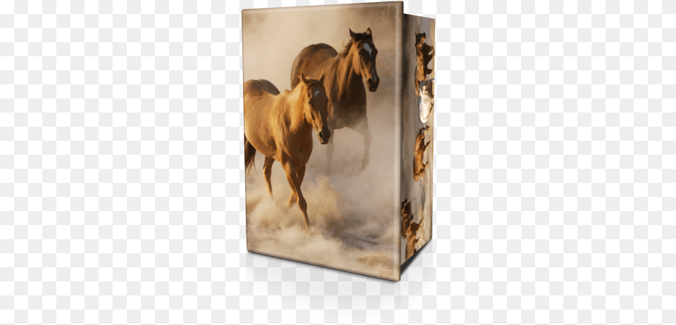 The Felt Covered Urn Base Is Simply Removed For Insertion Dusty 539x739area Rug, Animal, Colt Horse, Horse, Mammal Png