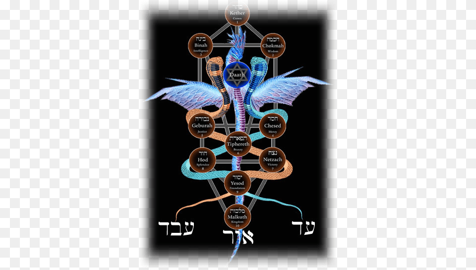 The Fires Of The Sephirah Geburah Are The Fires Of Kabbalah, Animal, Bird Free Transparent Png